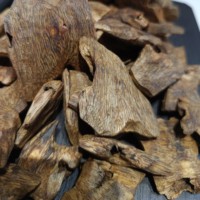 Eco1201 Hainan/Guangdong/Bois d'Agar/Oud en copeaux 3A pour Arbre à Feuilles de Sable Doré Huileux, aux notes fruitées, florales, douces, épicées et fraîches