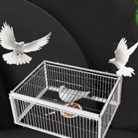 Piège à pigeons en fer, cage à porte automatique unidirectionnelle, attrape-oiseaux pour le contrôle des pigeons en extérieur