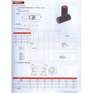 Válvula de Retención Recta Tipo S de 1/2 Pulgada para Aceite, Alta Presión, Operación Manual para Sistemas Hidráulicos - Product Image 1