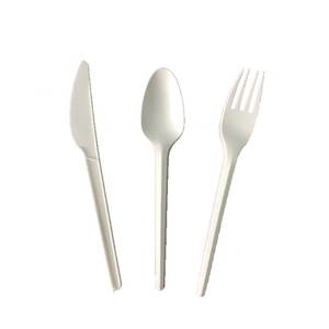 Tuv Certifié En Gros Taille Standard Non Toxique Vert Leepc <span class=keywords><strong>Biodégradable</strong></span> De Cuillères Pla Couverts Ensemble Kits - Product Image 2