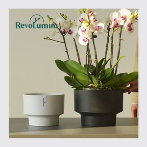 Chất Lượng Cao Trang Trí Đẹp Nhựa Chậu Hoa Nhựa Chậu Hoa Trang Trí Trong Nhà/Ngoài Trời Nhà Máy <span class=keywords><strong>Container</strong></span> - Product Image 3