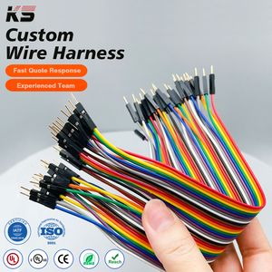 20 Cm 40 Pin Kawat Jumper Otomotif Kabel Harness Kabel Dupont Pria untuk Pria Papan Roti Dupont Kawat Jumper - Product Image 1