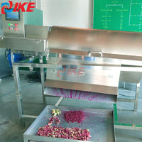 Elektrische Rvs Oranje Grapefruit Tool Granaatappel Dunschiller Passie Fruit Dunschiller Zaden Separator Machine