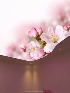 Plafond en plaques de plâtre à impression 3d Prix Faux plafond tendu Design pour <span class=keywords><strong>terrasse</strong></span> salle de bain - Product Image 2