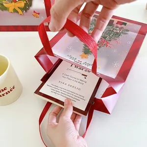 Duoyou Proveedor Logo Personalizado PP Claro Transparente Promoción Cordón Embalaje Navidad Reutilizable Pequeña Bolsa de Regalo de Navidad