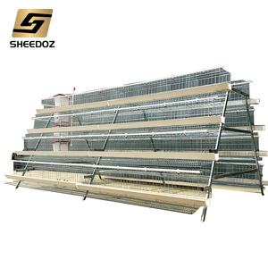 Jaulas de <span class=keywords><strong>gallinero</strong></span> galvanizadas tipo A para cría de aves de corral, jaulas de batería para gallinas ponedoras en venta - Product Image 6