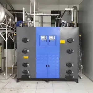 Vertical Residential Steam Boiler 1ton Wood Biomass Solid Fuel Fired Boilers