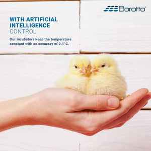 Incubadora de huevos de tamaño mediano semiautomática Borotto Real 49 a la venta, excelente incubadora al por mayor para aves de corral, 49/196 huevos - Product Image 6