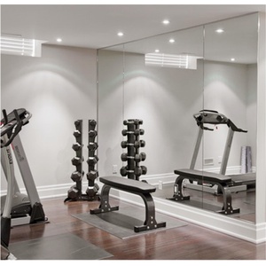 Custom Wall Mounted Modern Full Length Wall <b>Mirror</b> Dance Beveled <b>Mirror</b> for Gym <b>Mirror</b> Large Wall - Product Image 2
