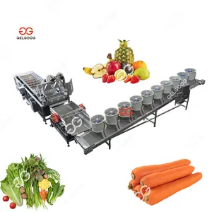 Gelgoog Industrial Vegetable Carrot Cleaning Processing Machine Line Fruit and Vegetables Cleaning Production Line