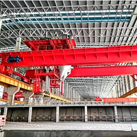 Fabricant chinois de grues de premier plan : Grue à double poutre intelligente résistante aux hautes températures, grue de cuisson multifonctionnelle