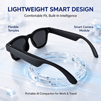 Lunettes Intelligentes IA avec Traduction Instantanée, Assistant Vocal, Haut-parleurs Doubles 13mm, Mains Libres pour Lunettes de Soleil, Reconnaissance d'Objets, Type-C