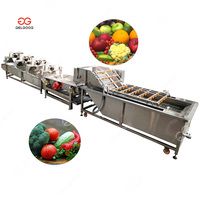 Automatische Dragon Fruit En Groenten Reinigingsapparatuur Fruit Was-En Verpakkingsmachine