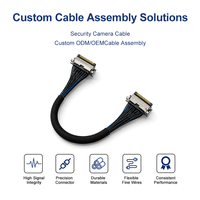 Câble de Faisceau de Câblage Personnalisé FFC FPC MIPI EDP LVDS pour Écran d'Ordinateur Portable, Moniteur et Caméra
