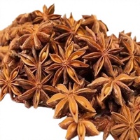 Anis étoilé vert-brun séché de haute qualité pour l'automne, assaisonnement 100% pur, 100g, Chine, durée de conservation de 18 mois, stockage à l'endroit frais et sec