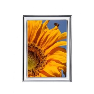 Cornice portafoto in metallo Maxi 200x300 mm con design girasole per esposizione a parete - Product Image 1