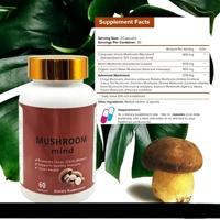 Nouvelles Capsules de Champignons Crinière de Lion Nootropiques pour la Concentration et la Clarté avec Biopérine – 60 Gélules – Supplément OEM Marque Privée
