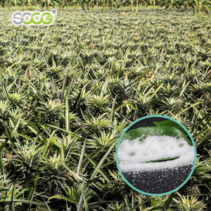 16 Yıl Hizmet Ömrü Ücretsiz Numune Sodyum Poliakrilat Polimer Kimyasallarda Potasyum Poliakrilat Süper Emici Polimer SAP - Product Image 2