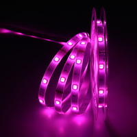 Personnalisé 12V Alexa Commande Vocale Décoration Intérieure Flex 5M 10M Étanche 5050 Smd Smart Led Bande Lumières pour La Maison