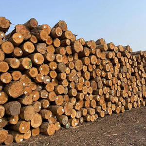 Vente en gros de traverses de chemin de fer en bois anticorrosion <span class=keywords><strong>pour</strong></span> les voies <span class=keywords><strong>pour</strong></span> les machines minières - Product Image 3