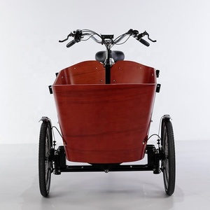 Tricycle électrique pour adulte, vélo cargo familial, cadre en aluminium, 6 vitesses, <span class=keywords><strong>drift</strong></span> tricycle pour l'épicerie et le transport des enfants - Product Image 3