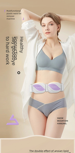 Cintura portatile per il Fitness Smart in vita e per il reiezione del grasso con vibrazione macchina macchina di bellezza - Product Image 5