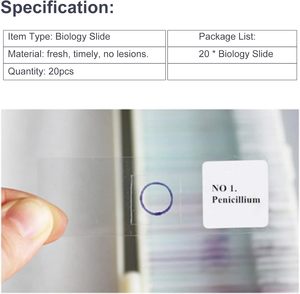 医学HenanYulinプロの人間の病理学スライド人間の炎症について - Product Image 6