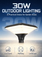 Lampe solaire de jardin 30W haute luminosité 6000K blanche IP65 étanche avec capteur photocellule marche/arrêt automatique pour éclairage nocturne résidentiel de jardin