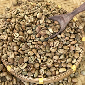 Écran de grains de café vert Arabica du Vietnam de qualité supérieure 18 saveur naturelle pure exportation en vrac 24 mois de durée de conservation approvisionnement d'usine - Product Image 1