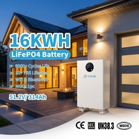 Grande Remise Batterie LiFePO4 15KW 16KWh 48/51.2V 280Ah 314Ah avec BMS Intelligent CE MSDS UN38.3 8000+ Cycles Batterie Hybride pour la Maison