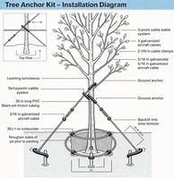 Kit d'ancrage pour arbres résidentiels, ensemble d'ancrage pour arbres en acier galvanisé pour les arbres nouvellement transplantés, résistance au vent