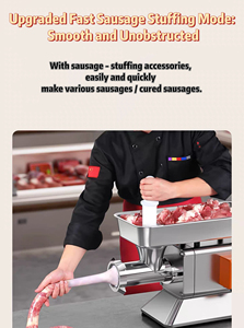 RY-22S tritacarne elettrico di alta qualità da 1,3 kw Taiyuan modello Royoung: triturazione rapida, ripieno efficiente di salsicce - Product Image 6