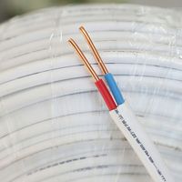 Flaches PVC-isoliertes Kupferkabel BVVB Feuerfestes Innen- und Wohngebäude-Verkabelungskabel CE-Zertifiziert