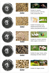 Machine à granulés et granulateur à haut rendement, à double usage sec et humide, pour l'élevage de bétail et de volailles, destinée à la production agricole et domestique - Product Image 4