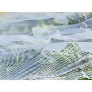 कृषि पॉलीइथिलीन धूल और कीट जाल/महीन जाल विरोधी फल-रोधी फल के साथ अंगूर के लिए उड़ान जाल - Product Image 4