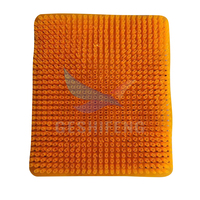 Geshifeng Tapis de nidification réutilisable pour cage à poulets Tapis de nidification pour couvoir en plastique pour poulailler henroos