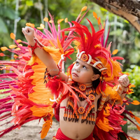 Plumes de Coq Teintées en Gros de Haute Qualité pour Décoration de Carnaval et de Festival