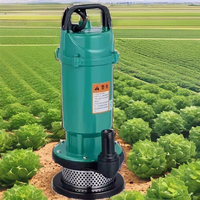 Mini pompe à eau submersible DC basse pression avec sortie de 9,5 mm pour l'irrigation agricole, les jardins domestiques, les étangs et les fontaines