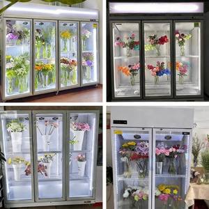 Abbattitore di Temperatura e Congelatore con Garanzia di Un Anno per Macellerie e Lavorazione della Carne - Product Image 2