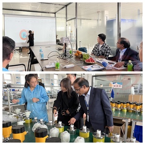 レーダーレベルセンサー 1mm精度 金属製 IP68保護 防爆仕様 石炭・セメント・穀物・砂・粉末用 - Product Image 6