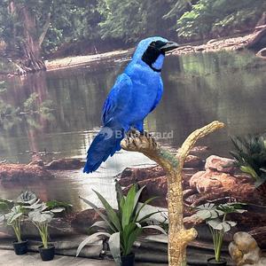 Blu lucertola parco a tema su misura di uccello animato Animatronic animale uccello africano con 3D stampato testa e artigli - Product Image 6