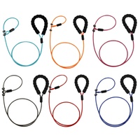 Produit pour animal de compagnie accessoires pour chien laisse fil de fer luxe ensemble collier et laisse pour chat chien