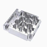 Servicios de Mecanizado CNC de Precisión Personalizados con Múltiples Orificios, Diseño Específico en Aluminio, Latón y Acero Inoxidable para Ensamblaje