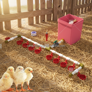 Sistema de Bebedero Automático <span class=keywords><strong>para</strong></span> Pollitos ZZ DIY, Juego Completo de Tuberías de Agua <span class=keywords><strong>para</strong></span> Aves de Corral, Bebedero Automático <span class=keywords><strong>para</strong></span> Aves de Corral - Product Image 1