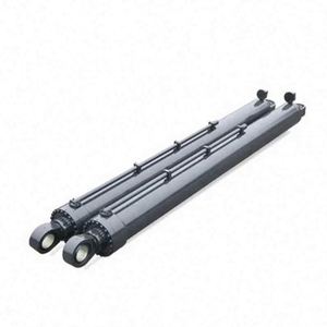 Cylindre <span class=keywords><strong>hydraulique</strong></span> de pièces hydrauliques de <span class=keywords><strong>double</strong></span> <span class=keywords><strong>effet</strong></span> d'utilisation de camion de petit pain de bras de camion de système d'ascenseur de crochet de 7 tonnes - Product Image 3
