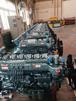 Sinotruk Diesel Engine 371 HP WD615.47 Howo WD61547 Truck Engine Assembly