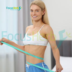 Focusherb ผง N acetyl L carnitine 99% acetyl L-carnitine เกรดอาหาร - Product Image 2