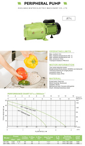 Pompes centrifuges auto-amorçantes professionnelles pour l'irrigation à jet d'eau 0,75 CV – Fabricant de pompes à eau - Product Image 5