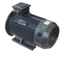 Moteur électrique synchrone à reluctance assisté par aimants permanents triphasé 380V 20Kw 50Hp, efficacité IE4, protection IP55