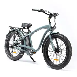 Ristar 2022 en moda yağ lastik elektrikli bisiklet 48V 500W plaj kruvazörü Ebike RSD505 üzerinde adım yağ lastik ebike bafang hub motor